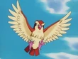 EP120 Pidgey