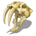 Fossils Sabertooth-icon