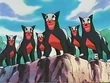 EP152 Houndour (4)