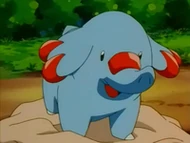 EP232 Phanpy (3)