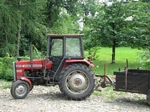 MF 255 Ursus