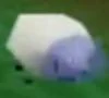 Aquasheep.jpg (1 KB) Aquasheep