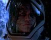 Hawk assimilated