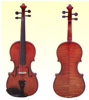 Viola
