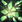 Aether Crystal