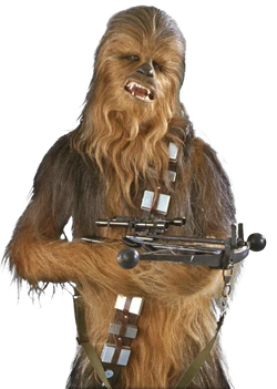 Chewie SWSB