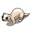 White Ferret-icon.png