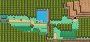 Route 31