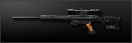 Bor Sniper Rifle