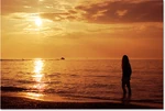 Sunset with Bella