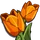 Orange Tulips-icon