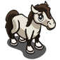 Reitpony Foal-icon.png