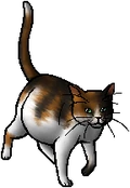 Nutmeg (Ro).queen