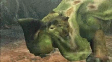 SwampRhino.gif