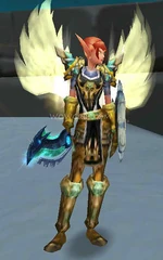 Holy Paladin