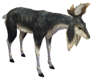 Female-Kelbi2