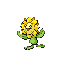 Sunflora NB.png