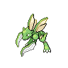 Scyther NB hembra