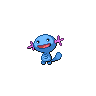 Wooper NB hembra