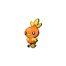 Torchic NB hembra