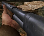 Shotgun aa
