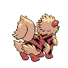 Arcanine