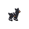 Houndour espalda G5
