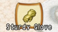 Sturdy Glove