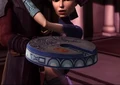 Khasva Roll.jpg