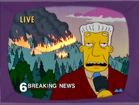 Fire on mt. springfield