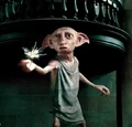 Dobbyattaks.jpg