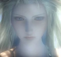 Cosmosd012upclose.png
