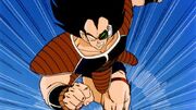 Raditz7