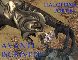 Forum banner.png
