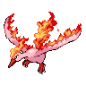 Moltres NB variocolor