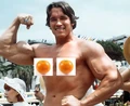 Arny.jpg