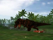 1 Rex having killed a cow