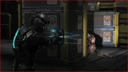 Stalker - Luring