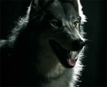 WerewolfMason