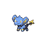 Shinx NB hembra