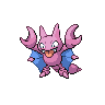 Gligar NB hembra