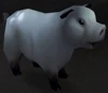Warsong Swine