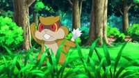 EP661 Patrat salvaje