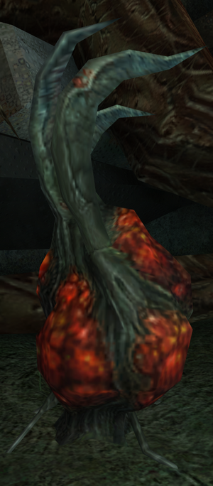Torvus Bearerpod