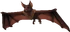 Fruit bat