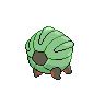 Shelgon espalda G5 variocolor.png