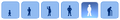 Adulto.png