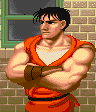 Guy ff1select.gif (4 KB) Guy ff1select