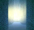 Golden mist.jpg
