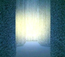 Golden mist